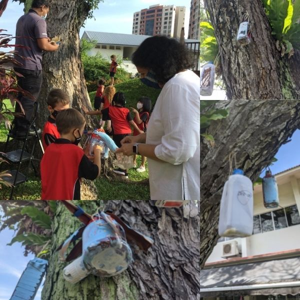 Outdoor Discovery Centre, bird feeders, Tanjong Katong, Canadian International School, international schools in Singapore, primary schools in Singapore, STEAM, unit of inquiry