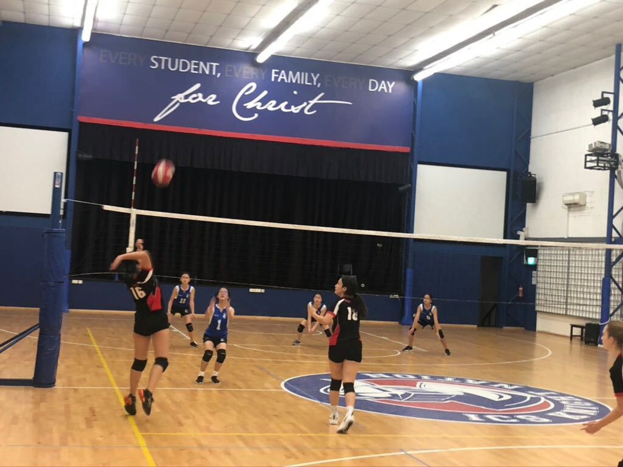 CIS returned to live sports CIS Mosaic