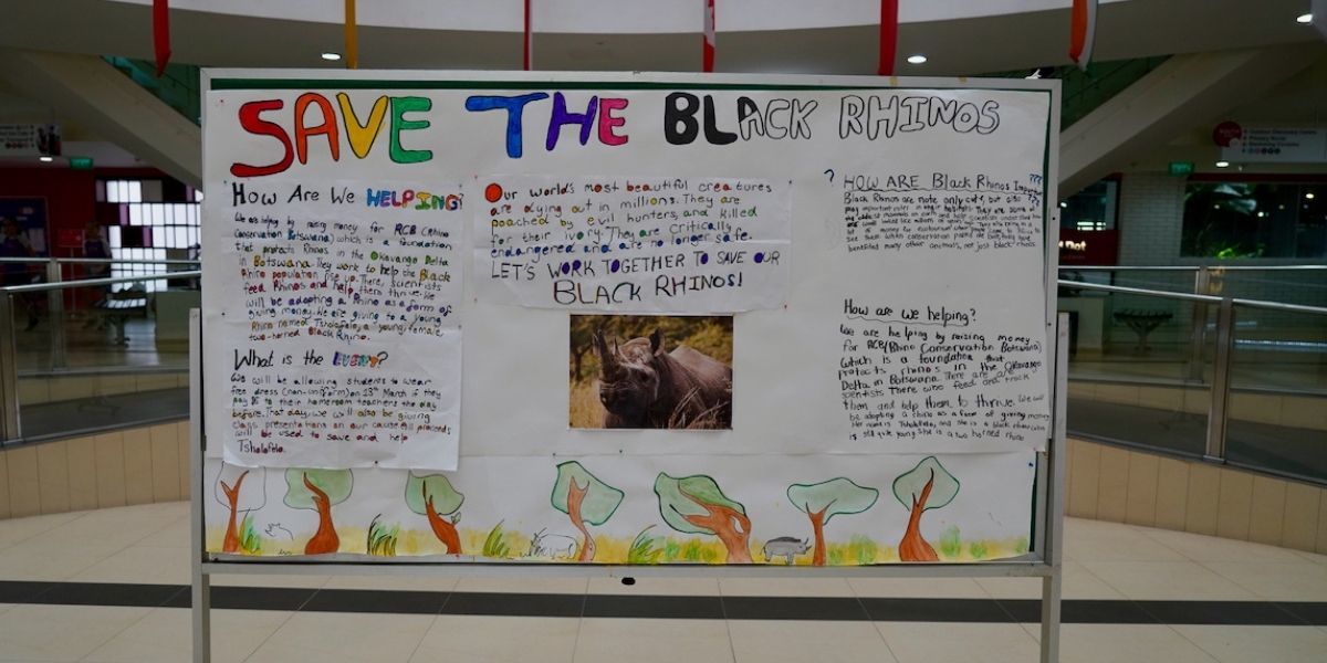 Canadian International School Singapore, sustainability club, student club, secondary schools in Singapore, primary schools in Singapore Canadian International School Singapore, sustainability club, student club, secondary schools in Singapore, primary schools in Singapore
