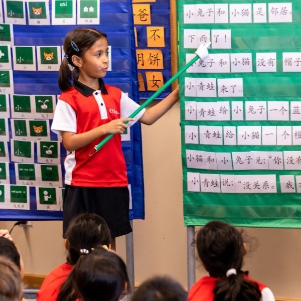 Canadian International School, secondary schools in Singapore, primary schools in Singapore, Good Schools Guide, international schools in Singapore, IBDP