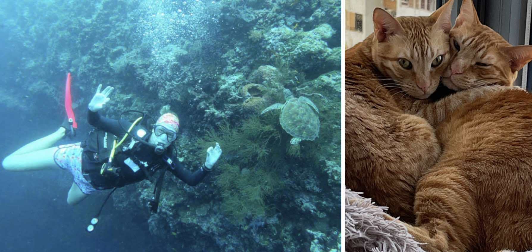 Screenshot-2023-08-10-at-8.48.57-AM.jpg?mtime=20230810085040#asset:45693