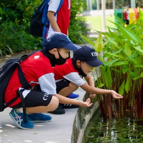 Students engaged in outdoor learning