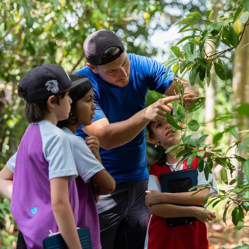 Primary students learning on field trips