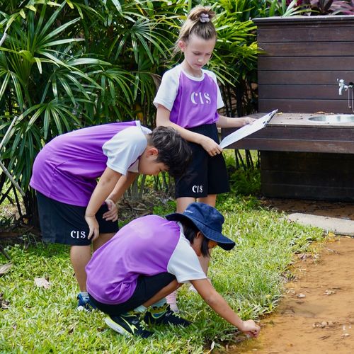 Primary students learning on field trips