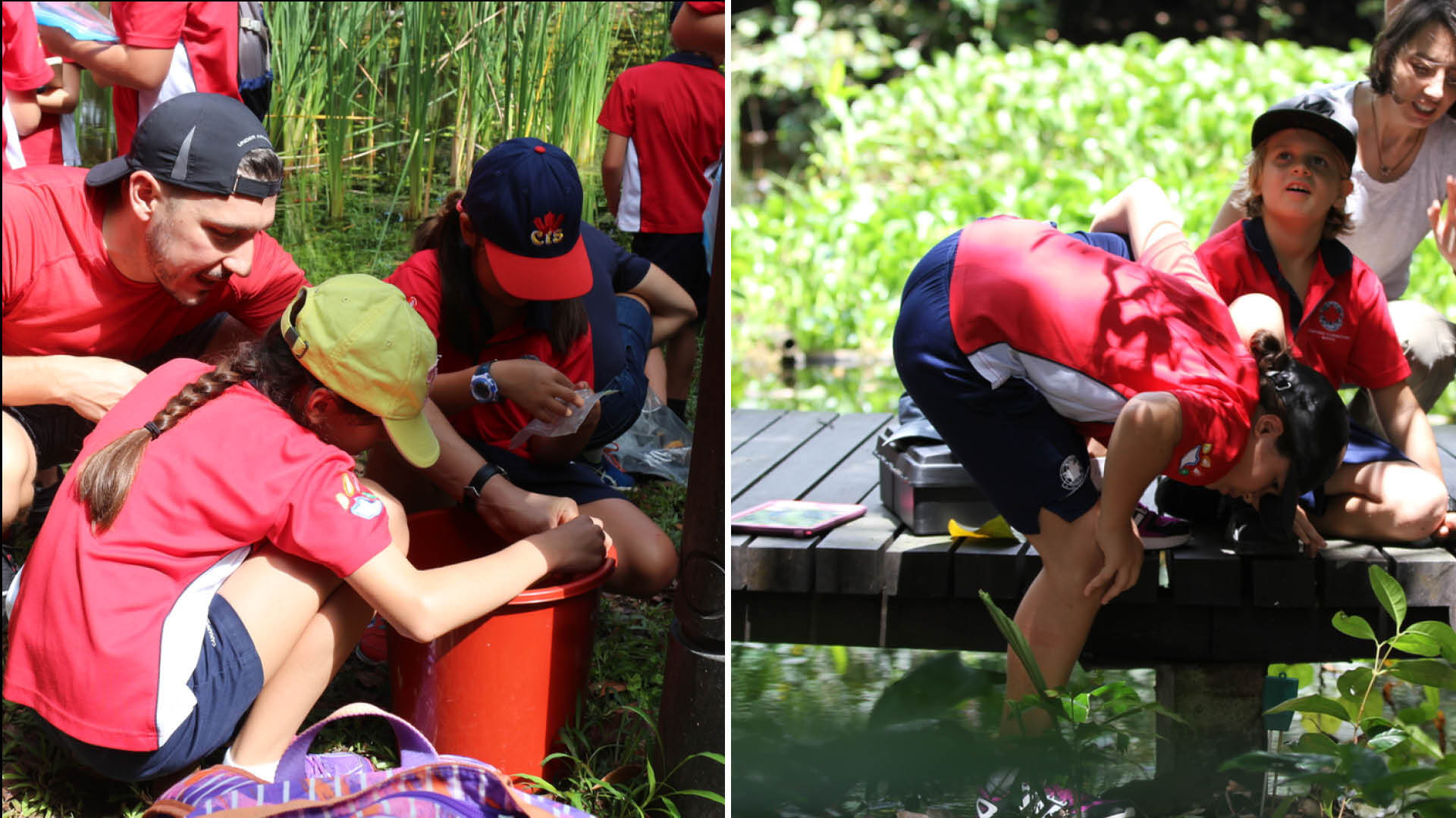 CIS open minds programme