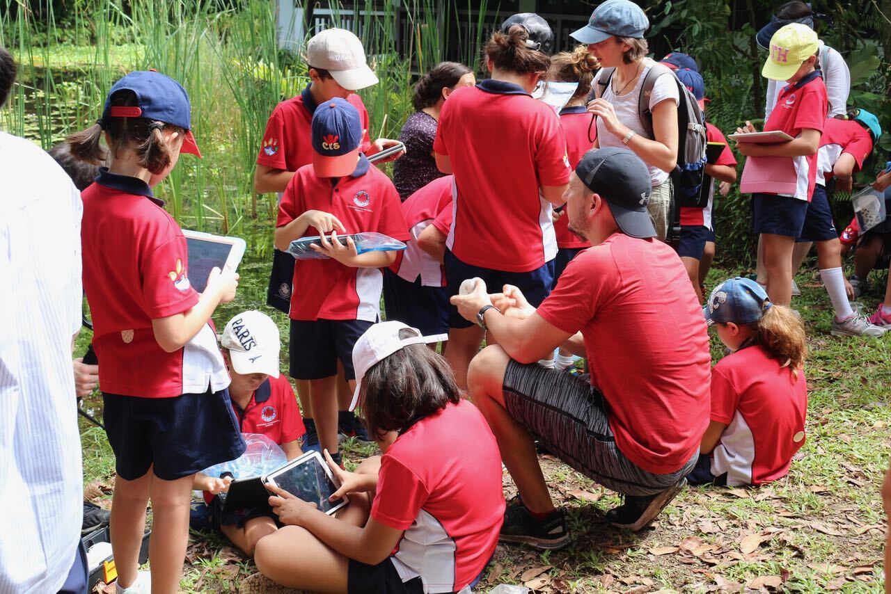 CIS open minds programme