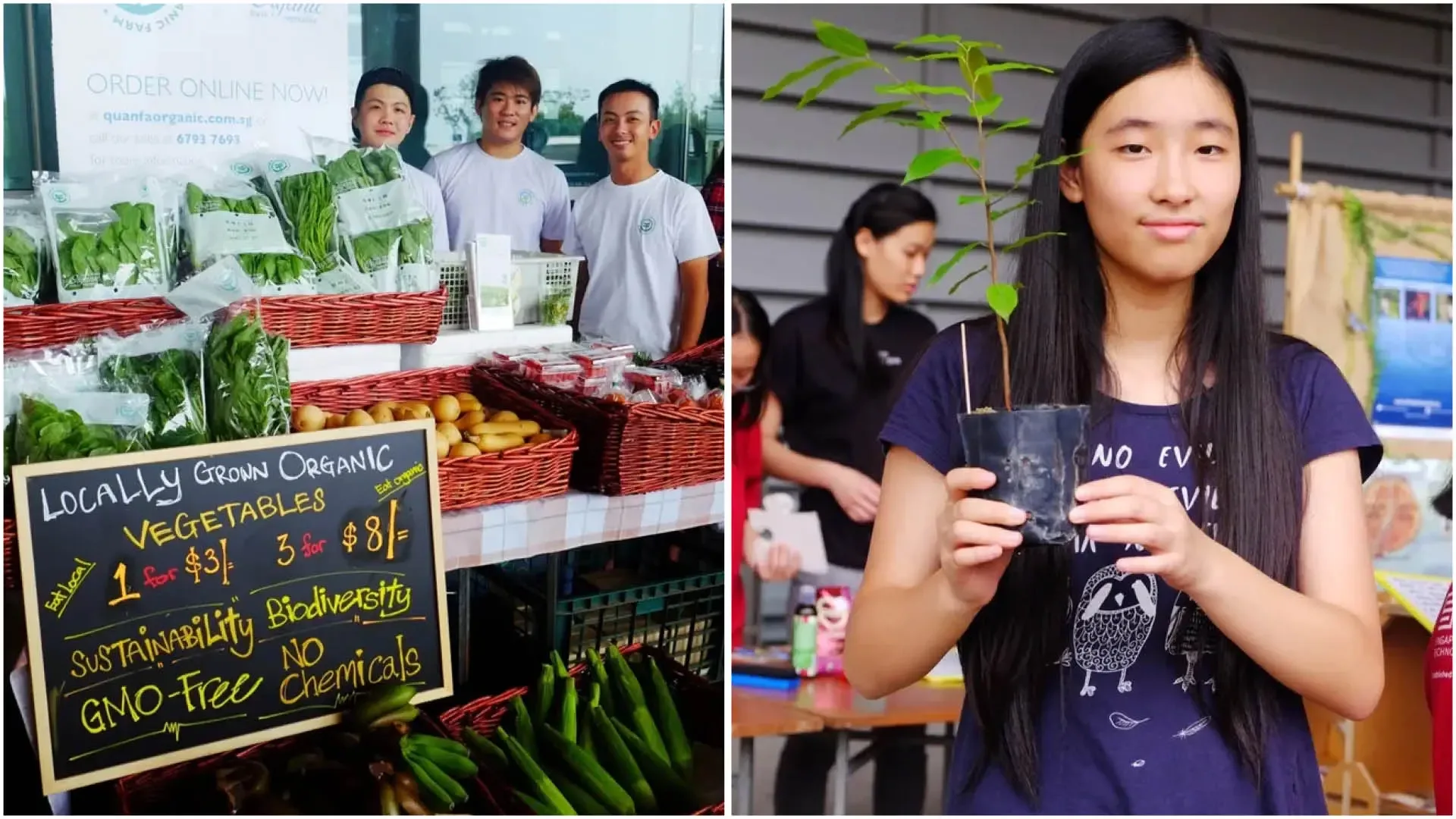 CIS Students Join EarthFest 2015