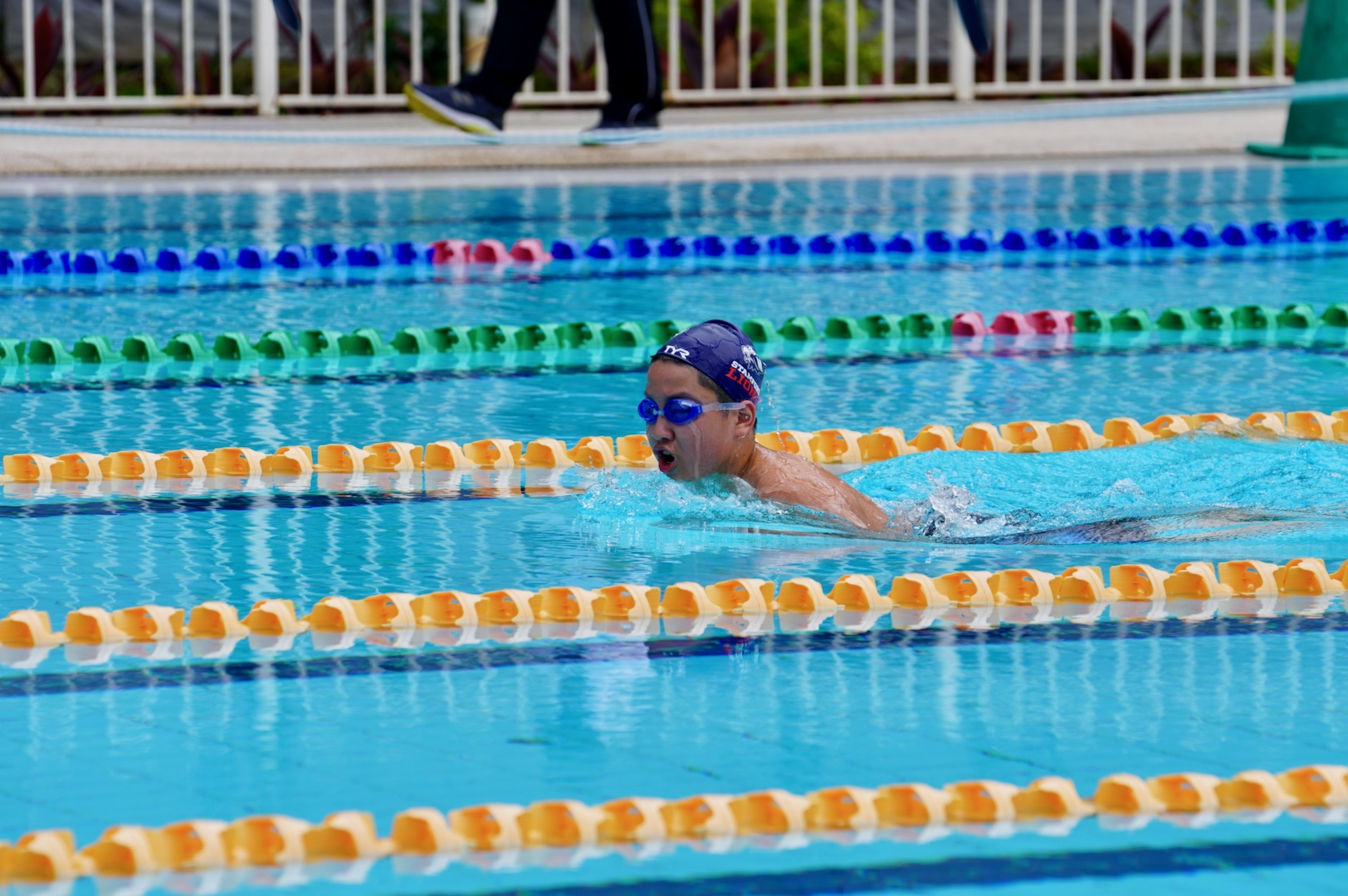 Elementary husky swimmers