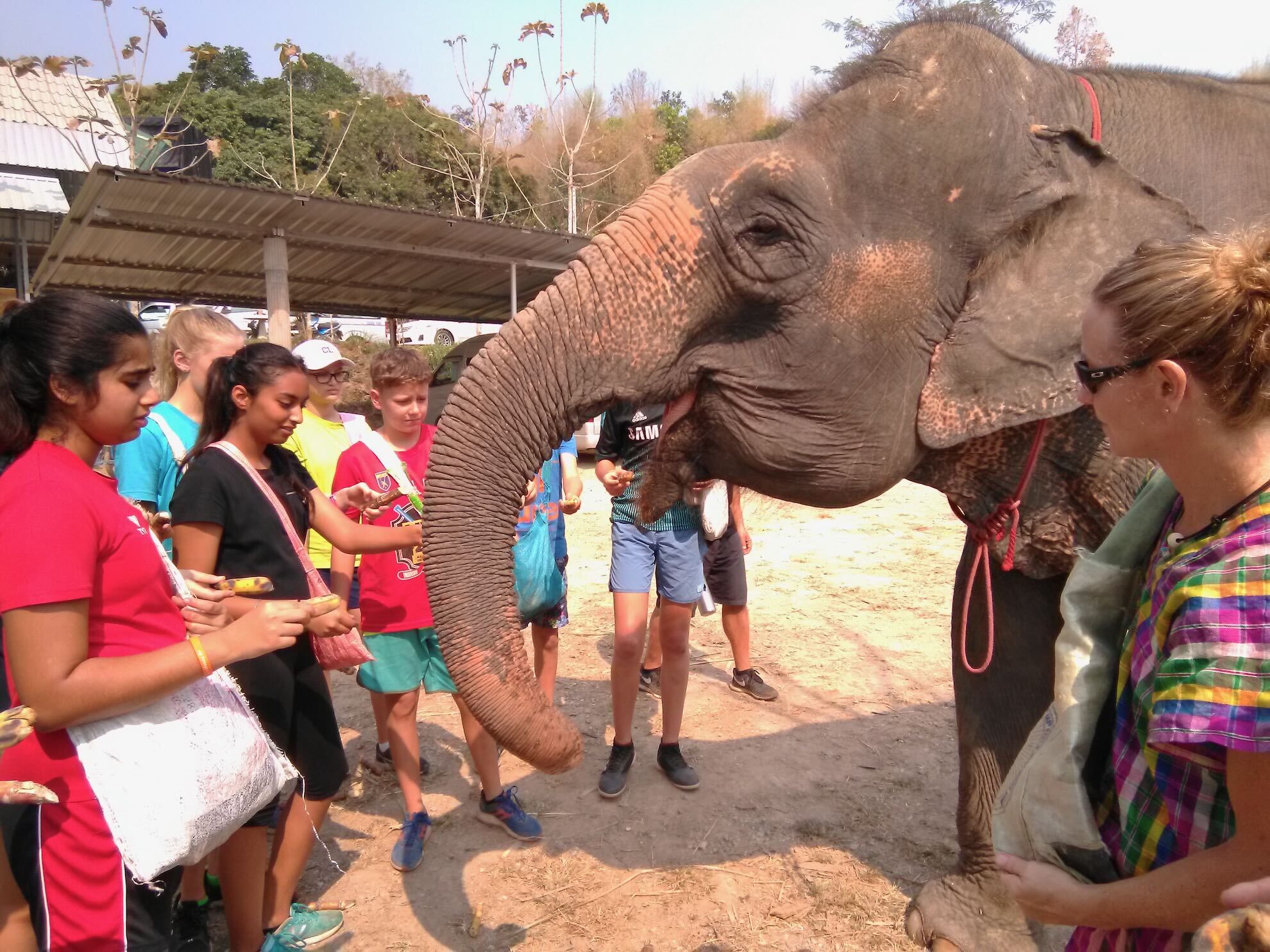 Grade 8 excursion in Chiang Mai